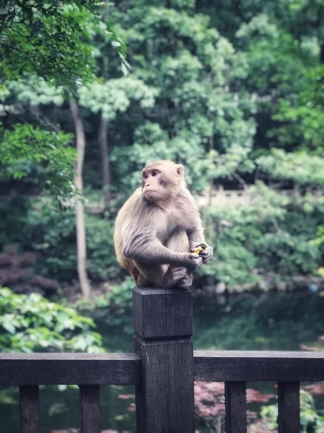 第一条旅游高铁通车！一个超级周末，一次解锁黔东南苗寨风光