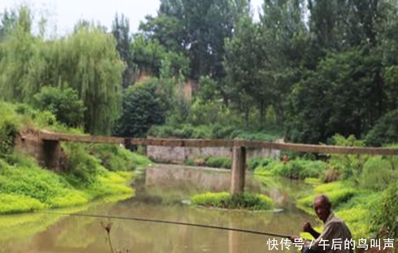  【不难】初夏钓鱼，别人鱼口不断你没口，用好这些技巧，扭转局面不难