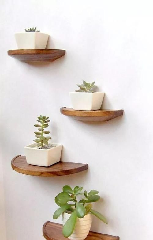  「空间」植物还种在地上？隔壁邻居把植物挂在了墙上，美翻了