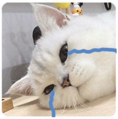 浙江最近为啥一直雨雨雨，太阳君到底什么时候会出场？