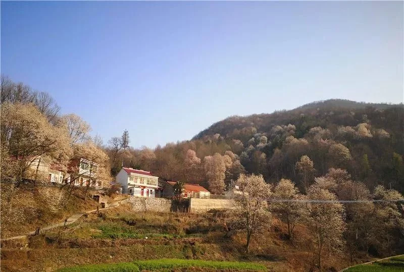 3月,低调六安意外爆红!一组照片,全国人民都被美哭了!【2020热门旅游景点】