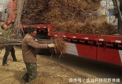 农村新骗局，套路越来越深，受骗农民越来越多