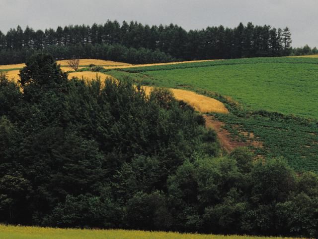 美丽的景色不容错过，总是能让人的心情变好，真是太美了