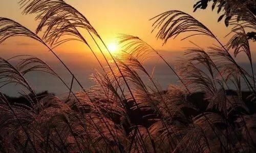 出发 | 金秋十月，这5个地方藏着中国最美的秋色！