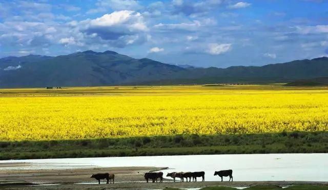 伊犁自驾攻略，看一篇就够了