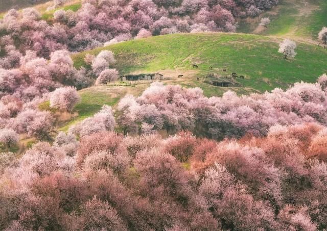 江苏最冷气温多少