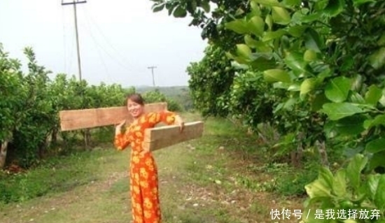  [最轻]世界上最轻的木头，起初在中国只是被用来当做保温瓶塞子