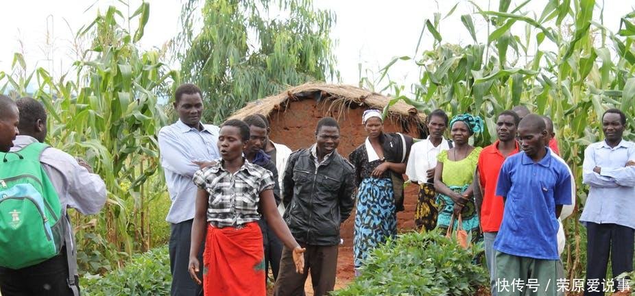 中国人在非洲 想教会非洲人如何种田, 可一发工资就不见人影!
