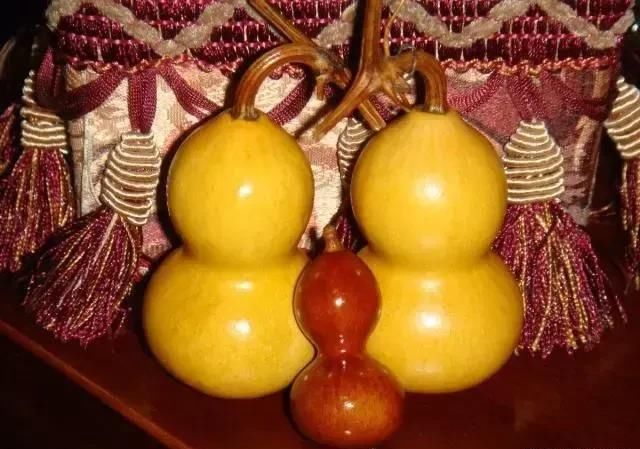 大爷花10年“种椅子”，一把卖80000！这些文玩在家也能种