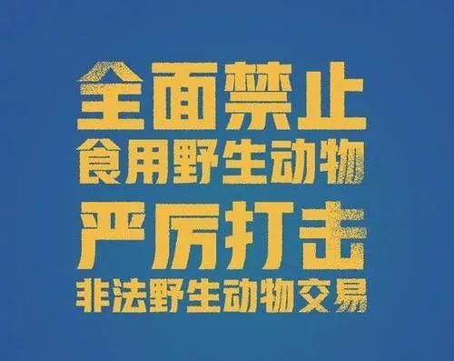  西安：西安全面禁止非法猎捕、交易、食用野生动物！