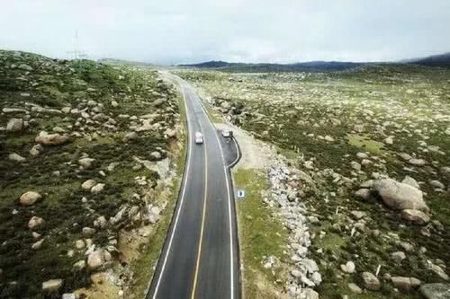 川藏线上遇见“白菜”,为什么不能摘?现在知道还不晚!快来看看