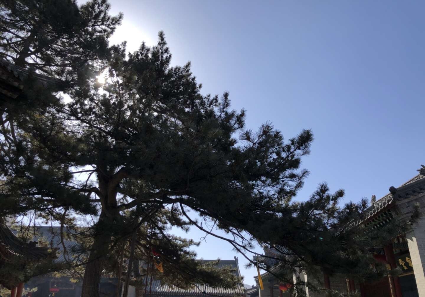 五台山，这里称紫府山，也称作五峰山道场，春节小游五台山