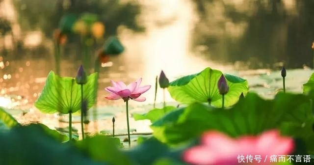 开学了，去青岛最美大学去逛一逛吧，个个堪比5A级景区