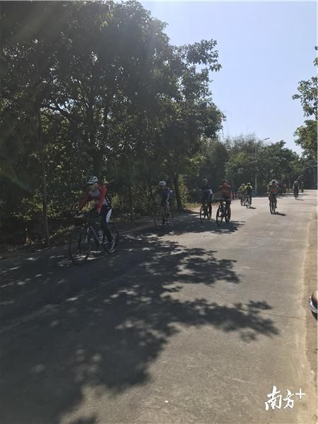 视频|近千名自行车手齐聚罗浮山，上演巅峰对决