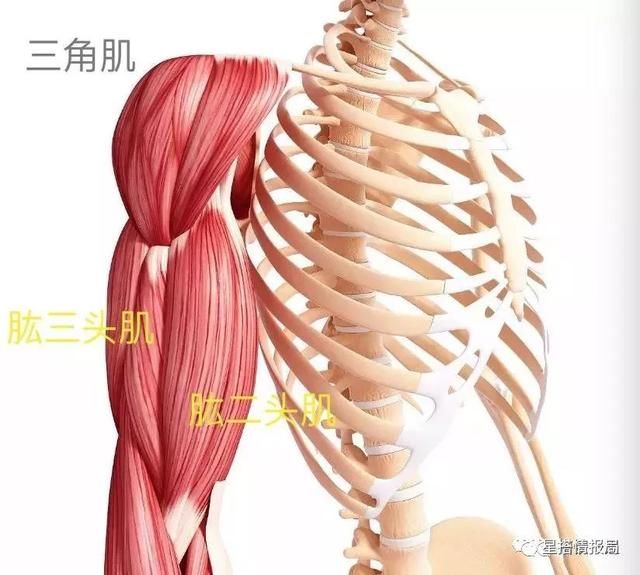 当杨幂范冰冰刘亦菲撞上同一个身材bug 极度血腥