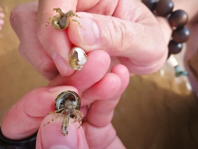 比三亚人少!比青岛消费低!北方最适合看海的城市，海鲜正肥!