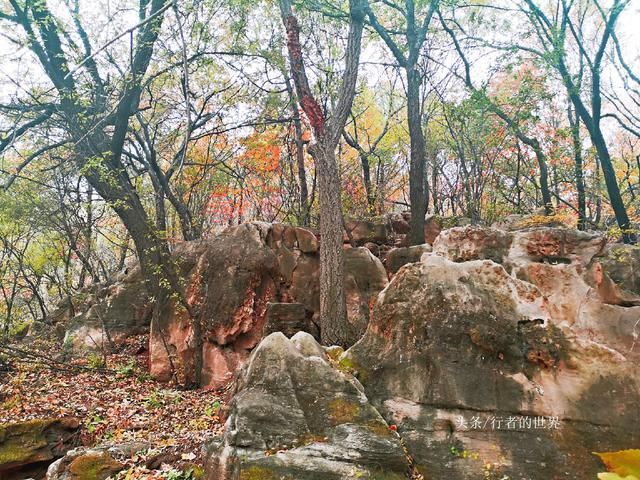 郑州巩义有条最美自驾公路，山路弯弯风光美，红叶奇石禅意浓