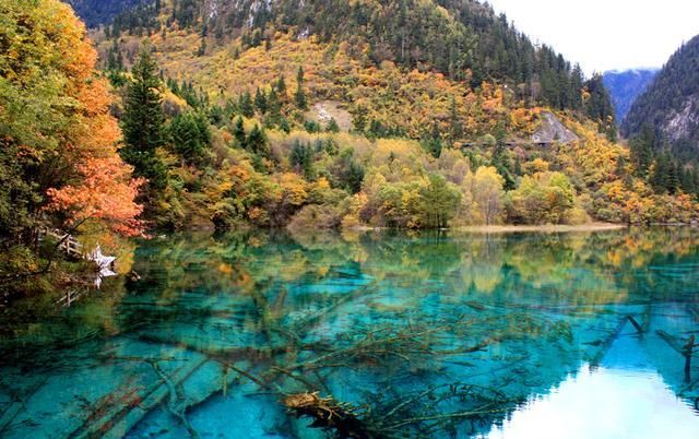 四川一5A级景区,被誉为“童话世界”,风景让人美不胜收