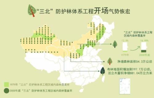美国卫星20年照片显示，中国不断变绿，印度的情况却不容乐观