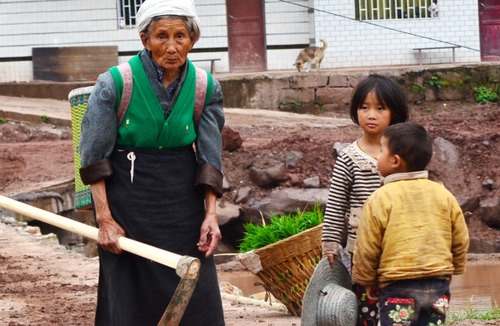 农民也能领退休金？每月可以领多少，看专家怎么说