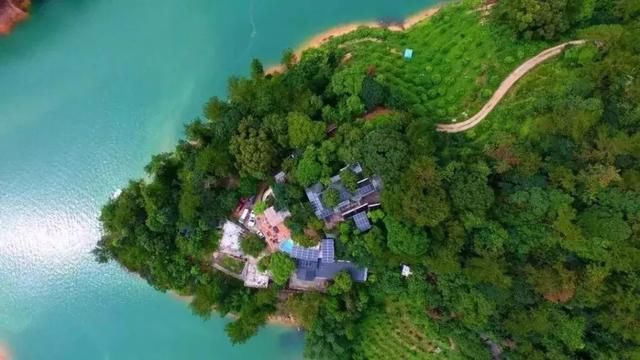 广州从化森林里藏着一个鲜有人知的艺术民宿，连地图上也找不到它