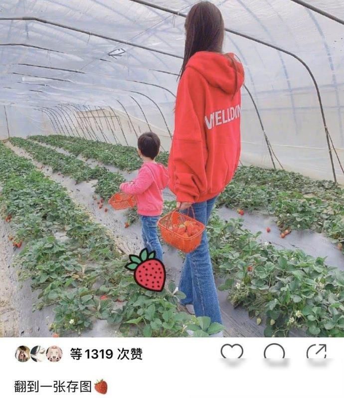 『卫衣』baby带小海绵摘草莓，母子俩身穿红色卫衣，可爱如草莓