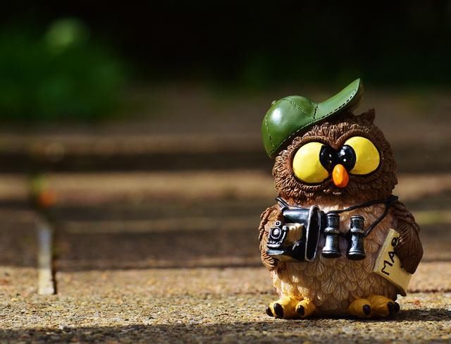 被誉为上帝遗落的画卷，无数绝世美景，却藏着能毁灭人类的力量！