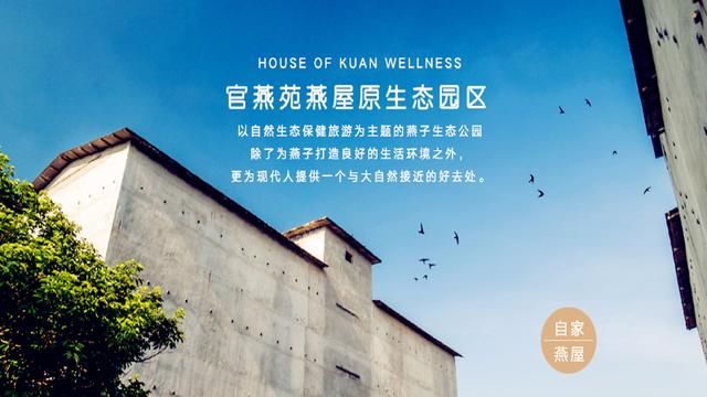 网上流传的关于燕窝的谣言，你都知道吗？