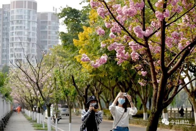  『见熟悉的绵竹』你熟悉的绵竹，又回来了