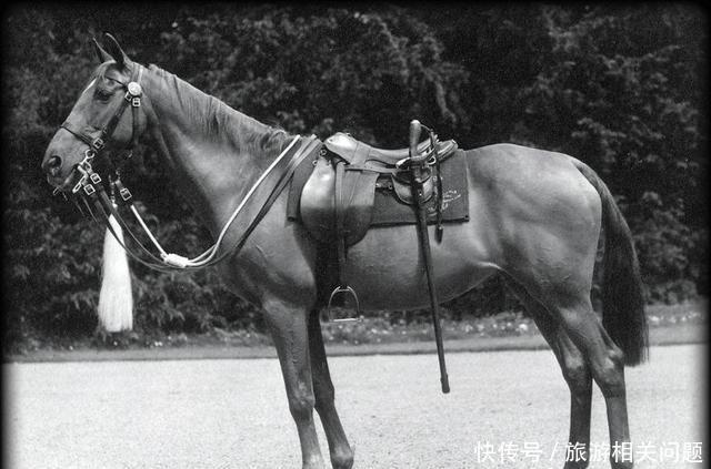 【20世纪初】不开刃就能对步兵一击必杀!实战解析英军最后一款骑兵刀