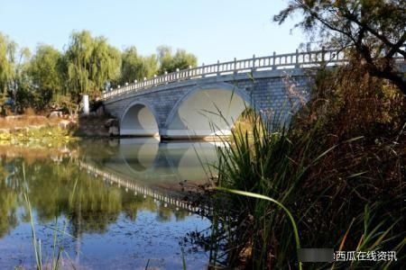  泉城：济西国家湿地公园“山东最美公园”，泉城济南的新名片