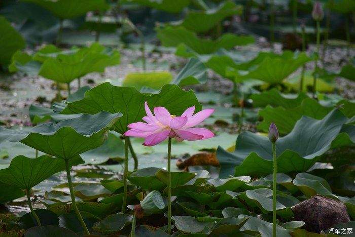 奥迪A6L，宝马X3，奔驰GLB，凯迪拉克CT5，不一样的新感受之九
