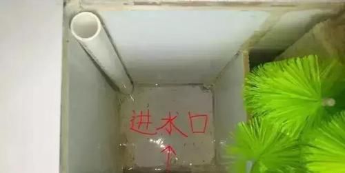  鱼缸：还在用鱼缸养鱼, 太难看了, 在阳台砌个鱼池漂亮又拉风!