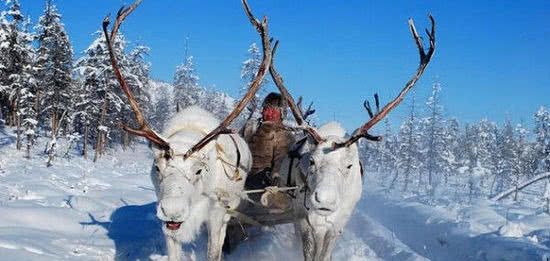 世界上最寒冷的村庄之一，人们很是长寿，会喝动物奶抗寒