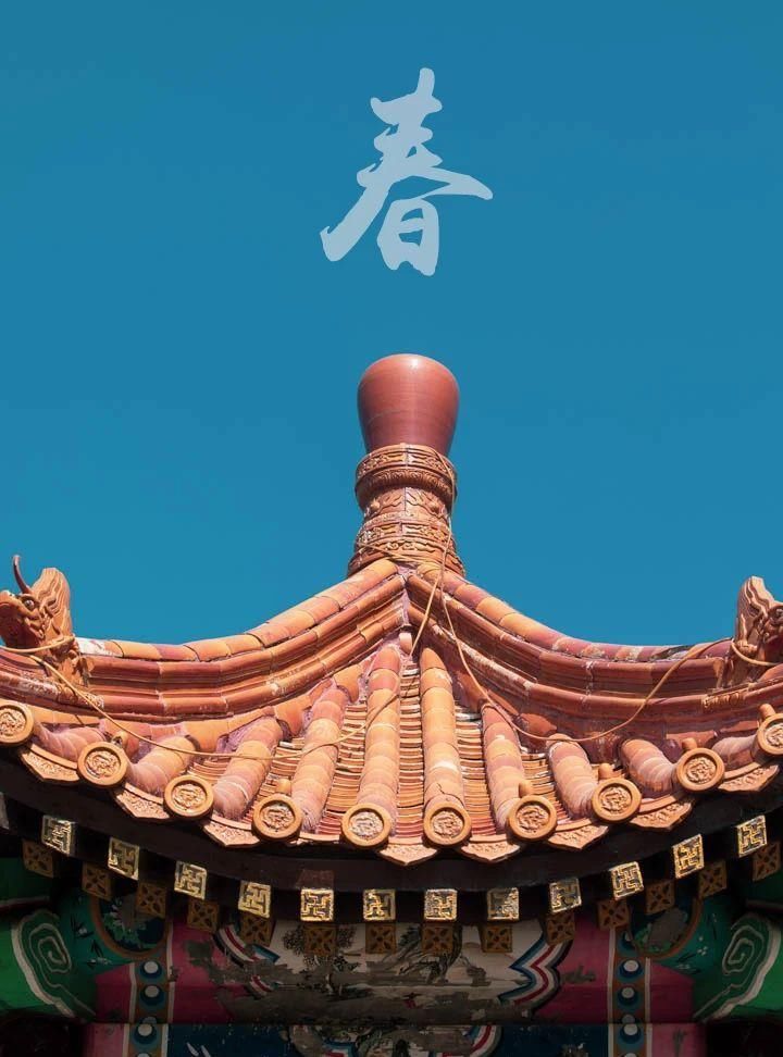  『预约』滨海新区的春天，不需要预约