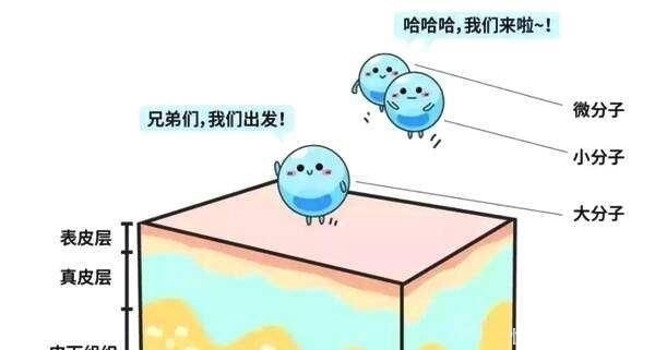 「打造」微整形打造“网红脸”,抹修养固很重要