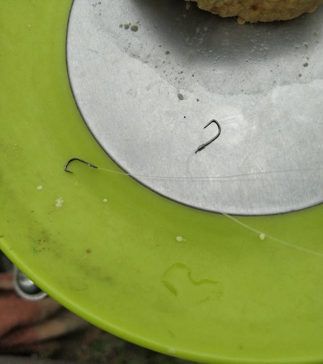稀巧:正午口稀巧换点,又遇电网肆虐抢鱼忙