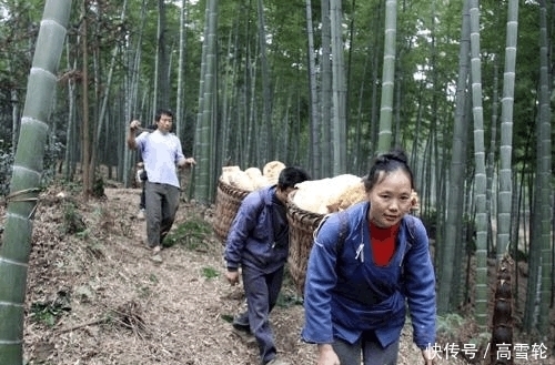  竹子开花：在农村, 老人常说“竹子开花, 马上搬家”竹子开花,