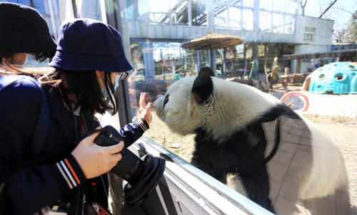  「产品设计」旅业自救新样本：导游卖菜农家乐，旅企跨界玩直播