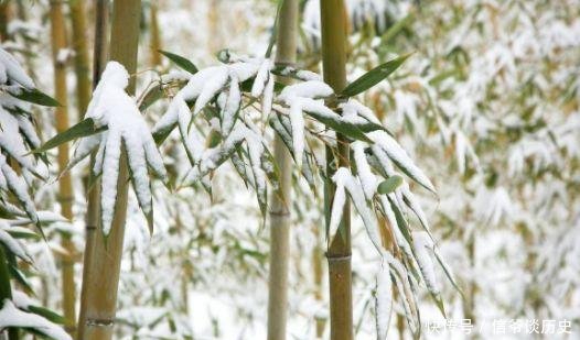  「冬日」雪竹，就是最美的冬日诗词