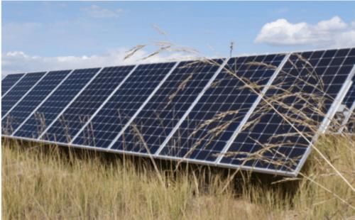  我国：我国在发电站放了几千只羊，世界难题就这样被解决，西方