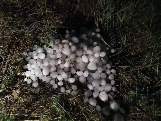  预警：海丽气象吧｜潍坊发布冰雹红色预警信号