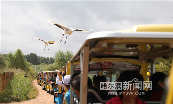 省外媒体采风团盛赞冰城夏都独特魅力