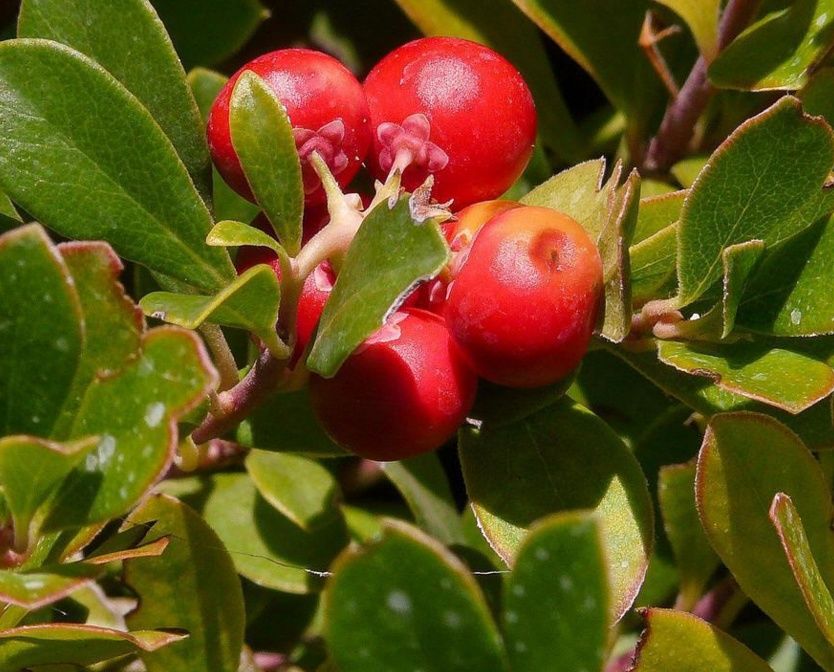 五毛钱的祛斑美白，每天拍拍脸，十天斑点消失脸蛋雪嫩细腻
