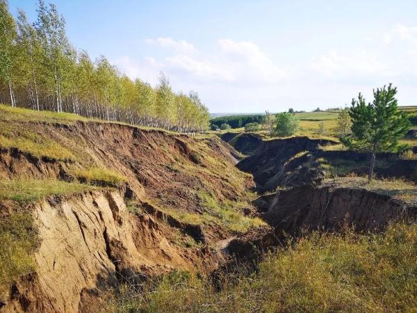 新知丨用秸秆给黑土疗伤