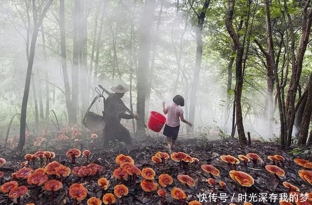 丽水有个隐藏在大山深处的世外桃源，带家人去走走吧