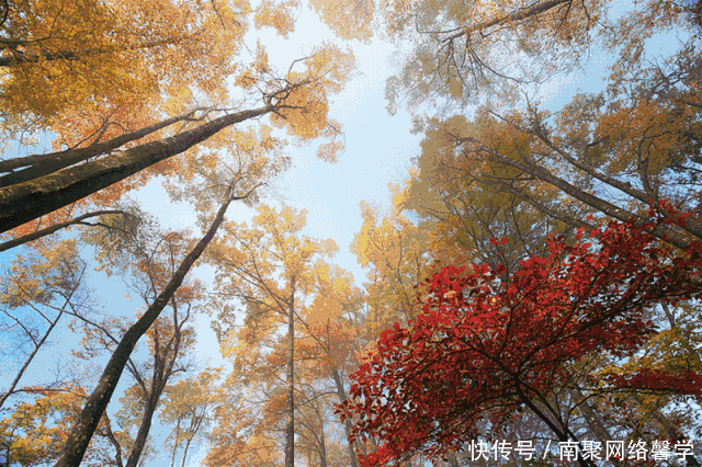 四川新添一座世界级公园! 山水、红叶、冰挂、溶洞每个都惊艳世界