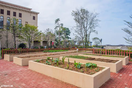 粤港澳大湾区风景