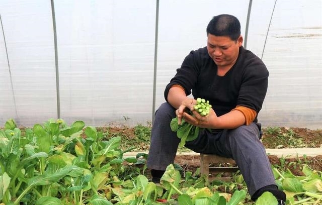 19年农村将实施“三补三不补”，农民好日子来了，三补有你吗？