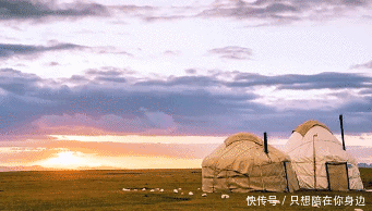 呼伦贝尔的秋天，美的太高级